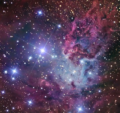 Thedemon Hauntedworld The Christmas Tree Cluster Fox Fur Nebula And