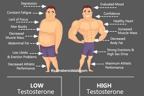 Low Testosterone Symptoms Causes Effects And Treatment Spotmebro Com