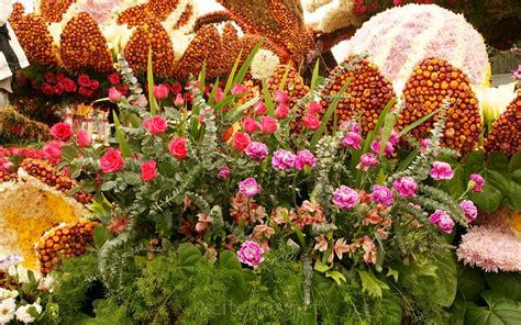 Most Beautiful Nature Wallpaper Flowers Wallpapersafari