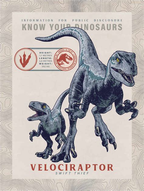 Jurassic World Velociraptor Blue Baby Av Universal Studios Limited