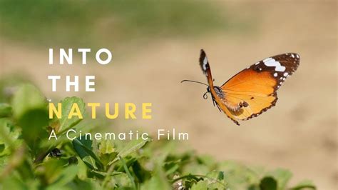 Into The Nature A Cinematic Film By Traversexp India Sony A6100