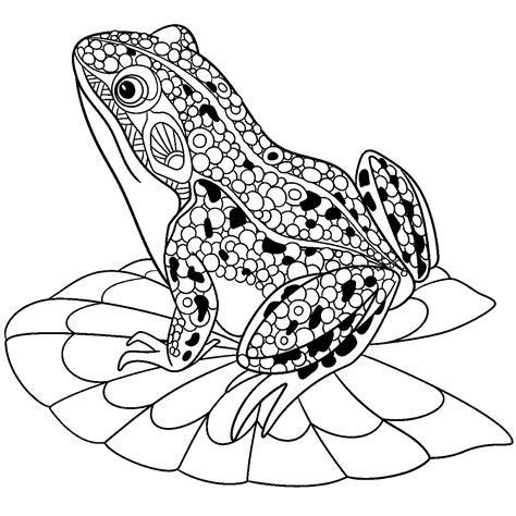 The sun shines and gives warmth. Cute frog on water lily leaf - Frogs Adult Coloring Pages