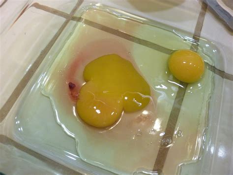 How To Tell If An Egg Is Bad In Water May 31 2020 · If The Egg Sinks