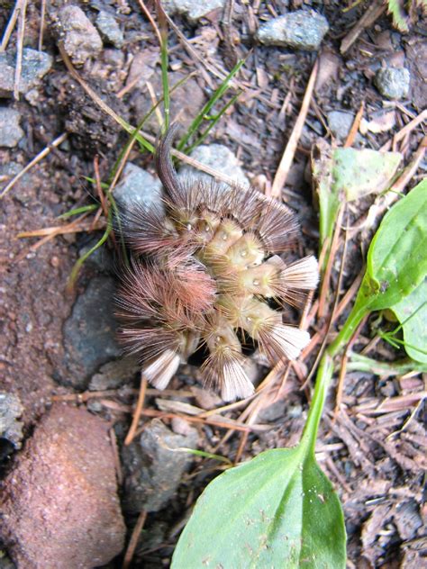 Jetzt günstige mietwohnungen in kaiserslautern suchen! Naturkundliche Wanderung in die Täler hinter dem ...