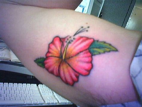 Pin By Maria Ruiz Molina On Tattos Hawaiian Flower Tattoos Hibiscus Tattoo Flower Tattoos
