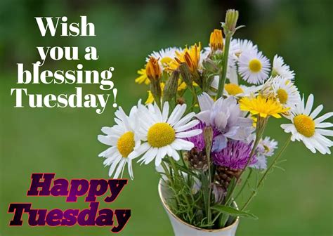 Happy Tuesday Images Wishes Wallpaper Quotes For Whatsapp Facebook