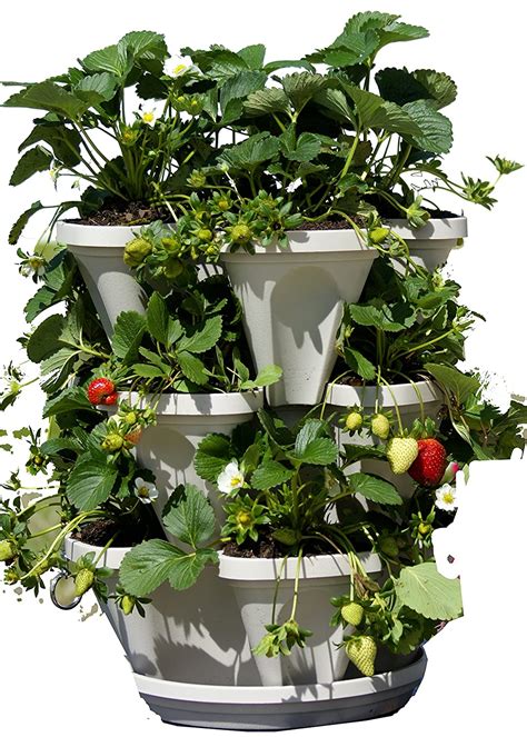 Mr Stacky Self Watering 3 Tier Stackable Garden Vertical Planter Set