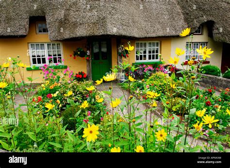 Irish Country Garden High Resolution Stock Photography And Images Alamy