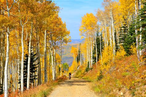 Colorado Fall Colors 2019 When And Where To See The Leaves