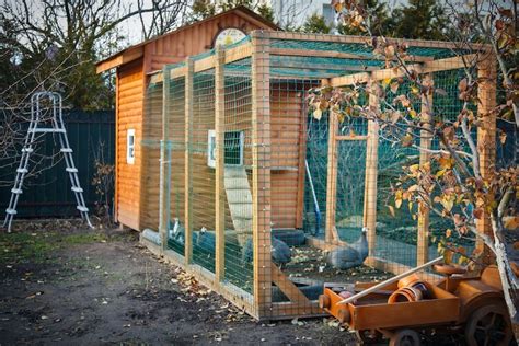 45 Free Chicken Coop Plans With Simple Diy Instructions Chickens And