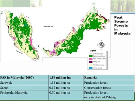 Sustainable Forestry And Reduced Impact Logging Practices Of Peat Swa