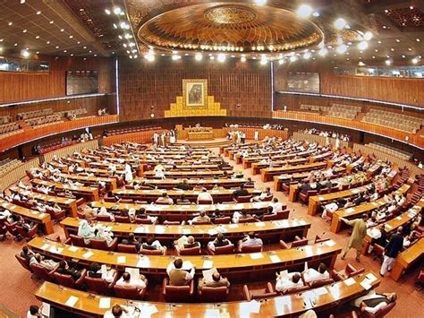 govt to table drap act amendment bill in parliament soon nausheen hamid pakistan business