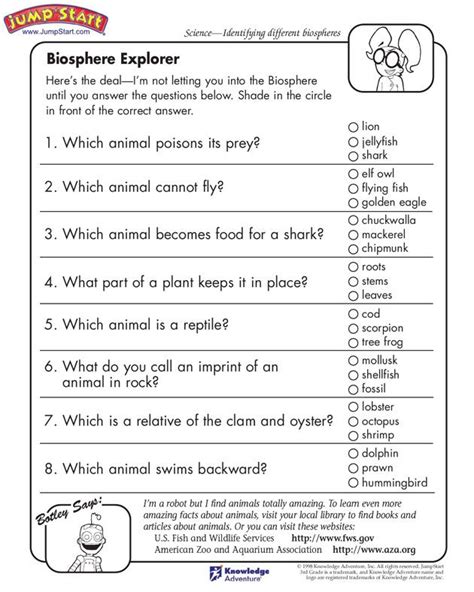 3rd Grade Science Worksheets