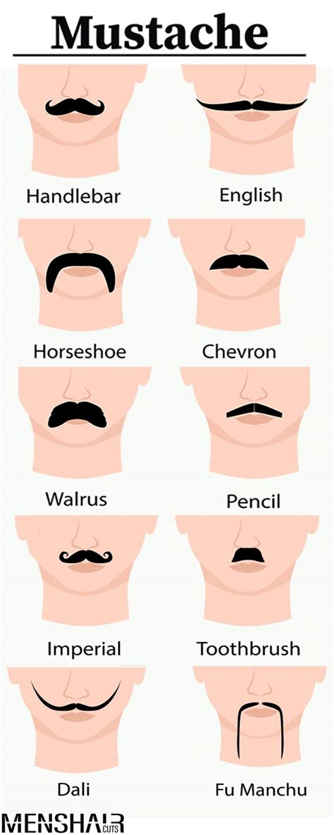 40 Top Mustache Styles A Guide To Facial Hair Fashion