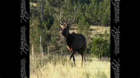 Musselshell Montana Mule Deer Elk Hunting Youtube