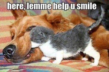 It's not terribly written, but it isn't funny. Let Me Help You Smile Pictures, Photos, and Images for ...