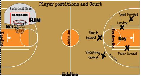 Posições E Funções Dos Jogadores De Basquetebol Ensino