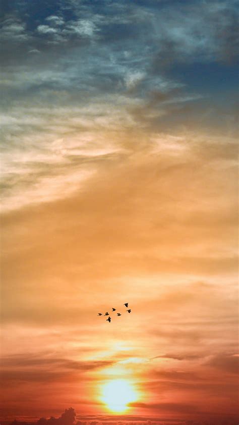 2k Free Download Sunset Come And Go Birds Colors Manipulation