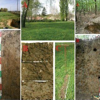 Topic is actually a complete lesson in. (PDF) Influence of Geomorphology and Land Use on Soil Formation - Case Study Maksimir (Zagreb ...