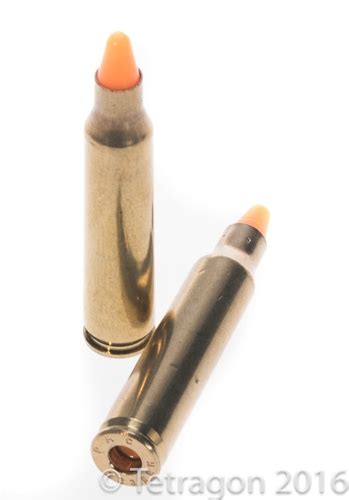 308 Trainer Dummy Rounds Canada