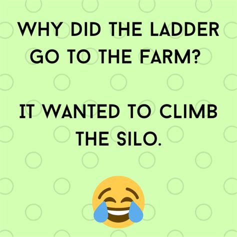 70 Ladder Jokes Puns And One Liners To Crack You Up 😀