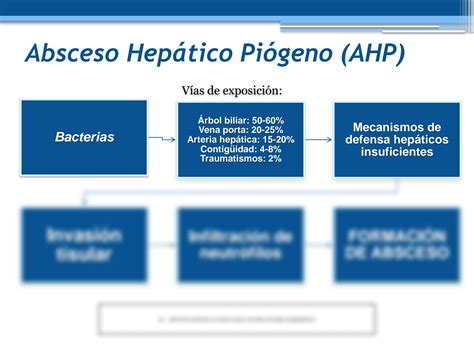 Solution Absceso Hep Tico Studypool