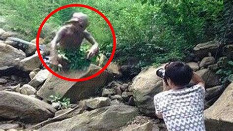 Most Mysterious Creatures Caught On Camera Youtube