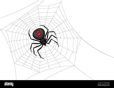 Background With Black Widow Spider Stock Vector Image And Art Alamy