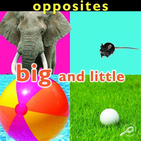 Opposites Big And Little Audiobook On Spotify