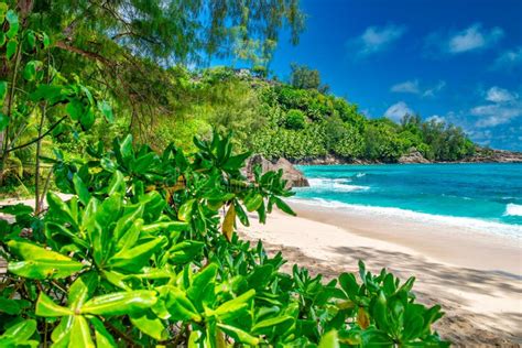 Anse Intendance Beach In Mahe Seychelles Stock Image Image Of Beautiful Blue