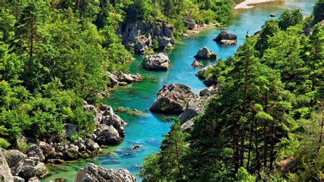 Gorges Du Tarn River Water Rock Forest Pine Trees Cevennes National