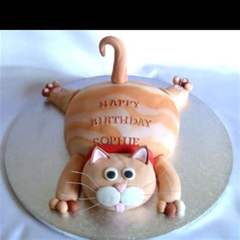 17 Best Images About Cat Cake On Pinterest Cake Make Kitty Cats And