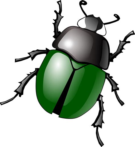 Free Insects Clip Art By Phillip Martin Image 35225