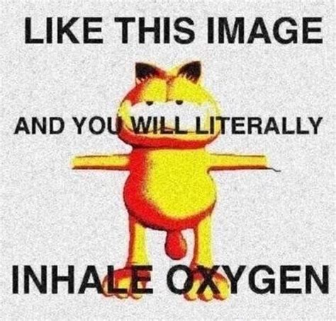 Like This Image And You Literally Inhale Oxygen T Pose Know Your Meme
