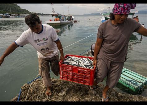 Keterlibatan Bumn Di Industri Kelautan Dan Perikanan Antara Foto