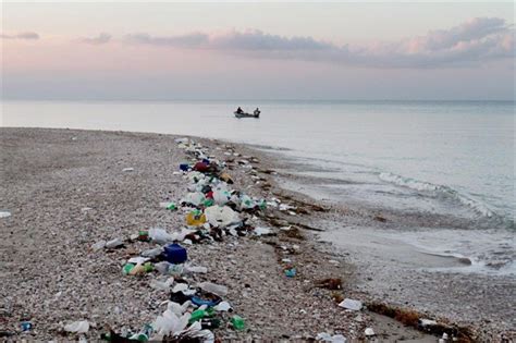 Plastic In Ocean Could Outweigh Fish By 2050 Report National