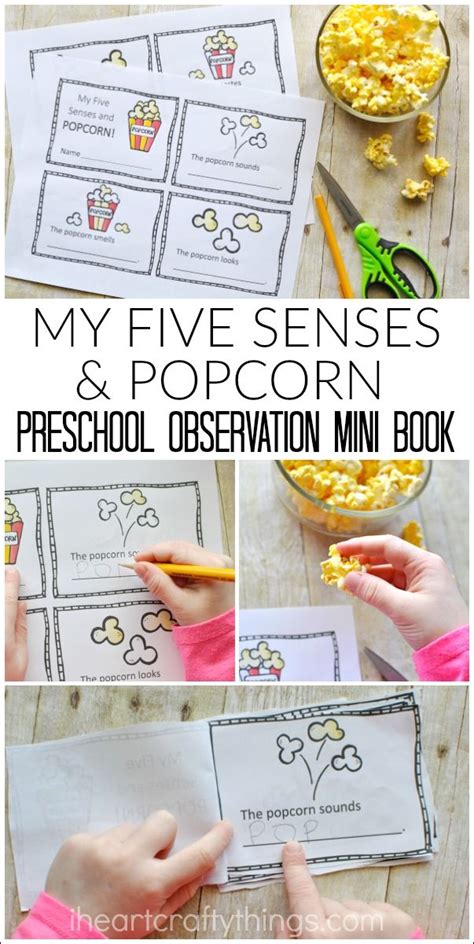 My Five Senses And Popcorn Preschool Observation Mini