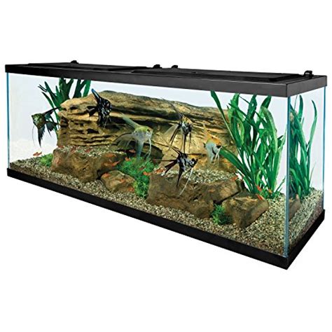 Best 10 55 Gallon Turtle Tank Buying Guide Bestweldinggears