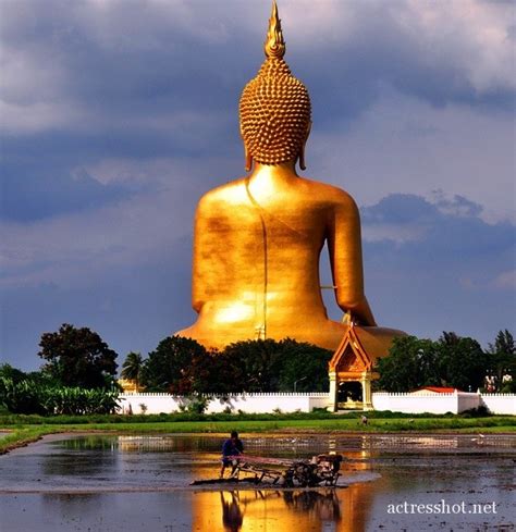 Picture World Largest Buddha