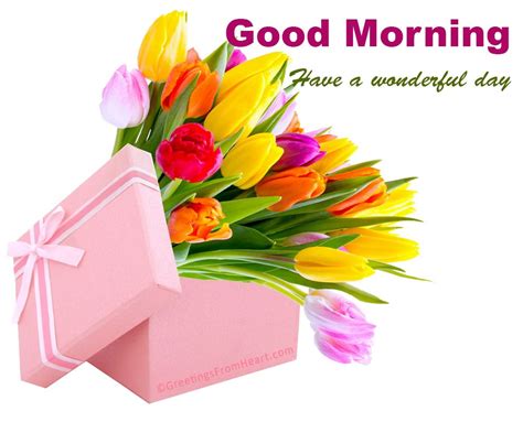It has a silent way of saying something that i remember you when i wake up! good morning with beautiful flowers | Good morning cards, Good morning images flowers, Good ...