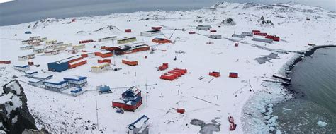 An Unprecedented Antarctic Disaster Unfolding In Darkness