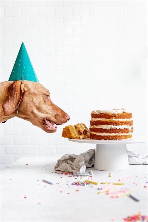 Dog Birthday Cake Recipe How To Make Cake For Your Dog