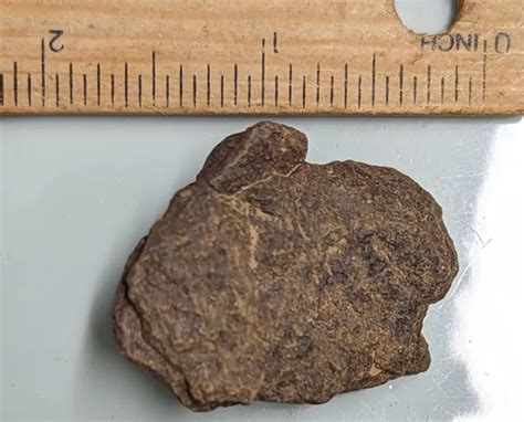 28 Gram Unclassified Nwa Meteorite F3701 066 Picclick