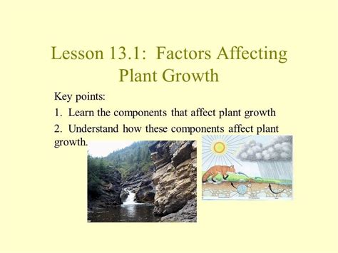 Unit 2 Lesson 131 Factors Affecting Plant Growth Youtube