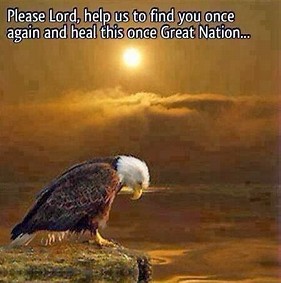 Image result for photo of sad eagle, america