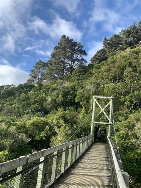 Zealandia Is The Perfect Way To Escape From The City And Its Free