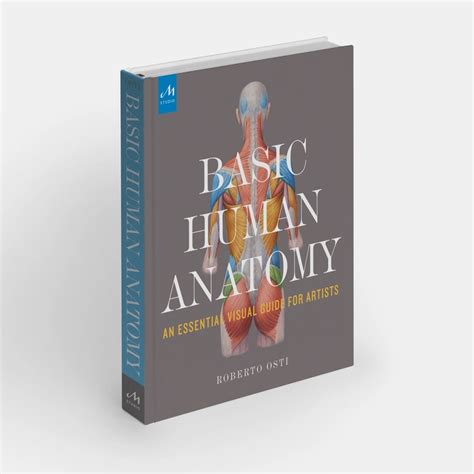 Basic Human Anatomy An Essential Visual Guide For Artists Artbook