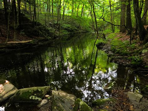 Wallpaper Water Nature Reflection Green River Wilderness Pond