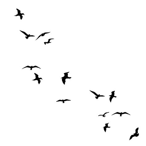 Collection Of Flying Bird Png Pluspng