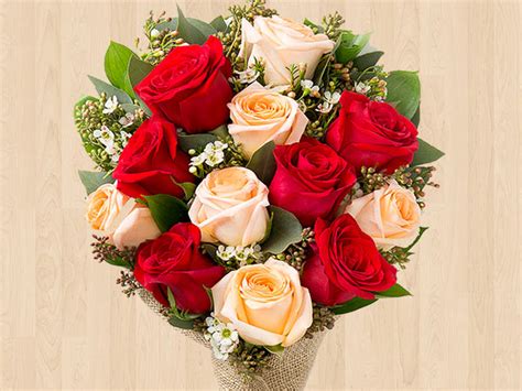 Revealed 6 Flowers For All Special Women In Your Life